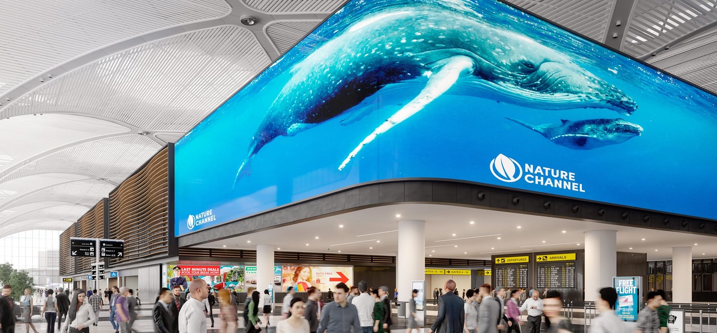 HyperDeck Extreme 4K HDR – 10G Ethernet za digital signage