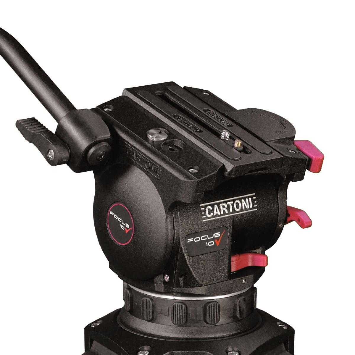 Cartoni Focus 10