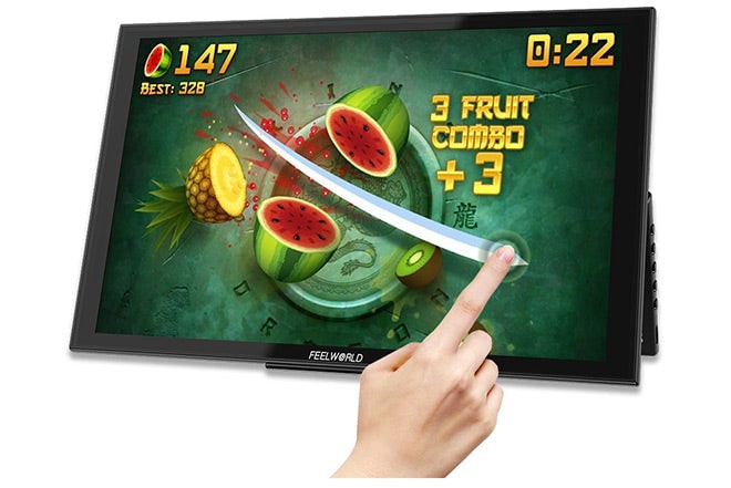 FEELWORLD DH101