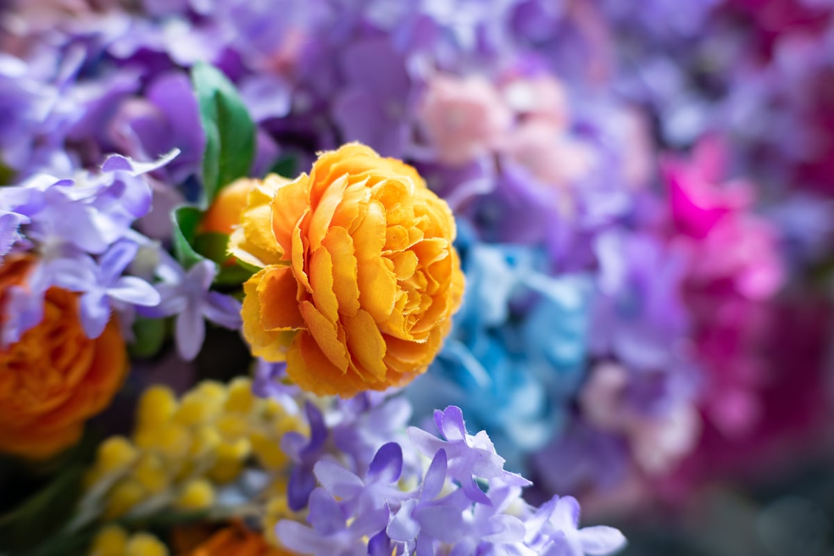 MK-50MM F0.95 Aps-C Z