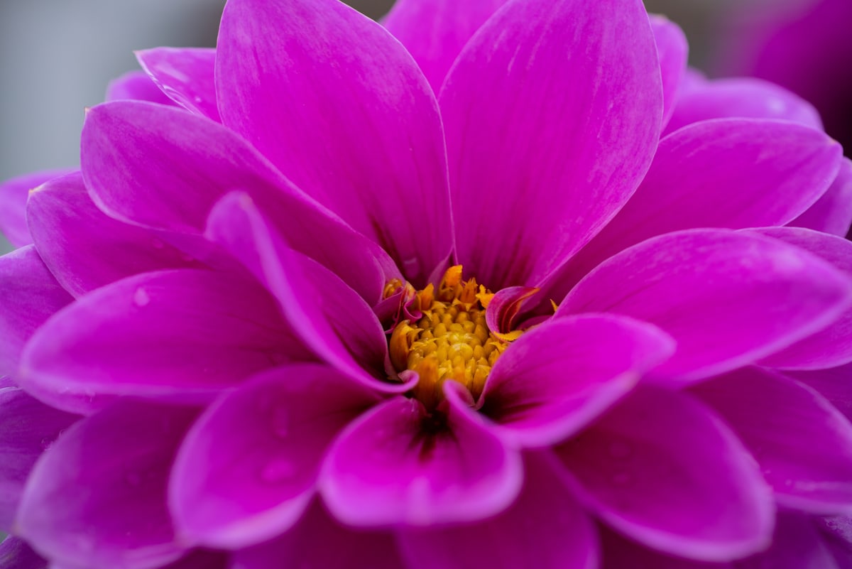 MK-60MM F2.8 Aps-C E