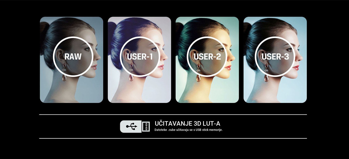 Lilliput BM150-4KS – infografika 4