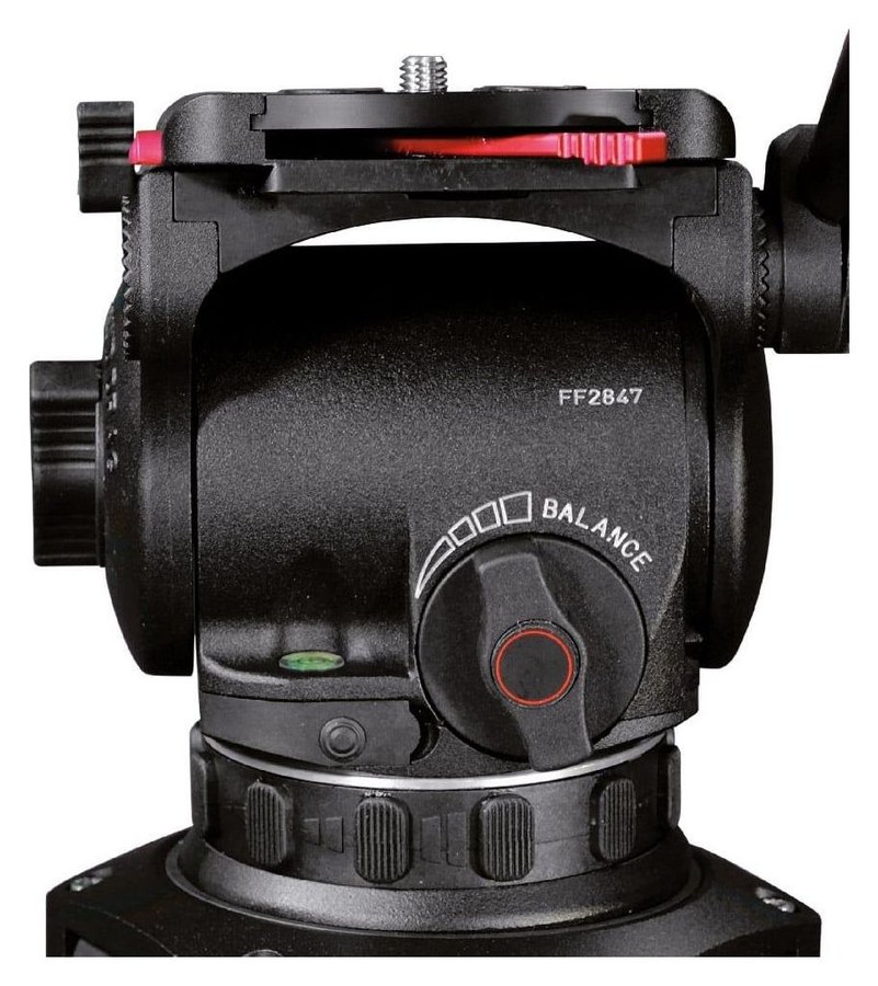 Cartoni Focus 12 – Protuuteg i libela