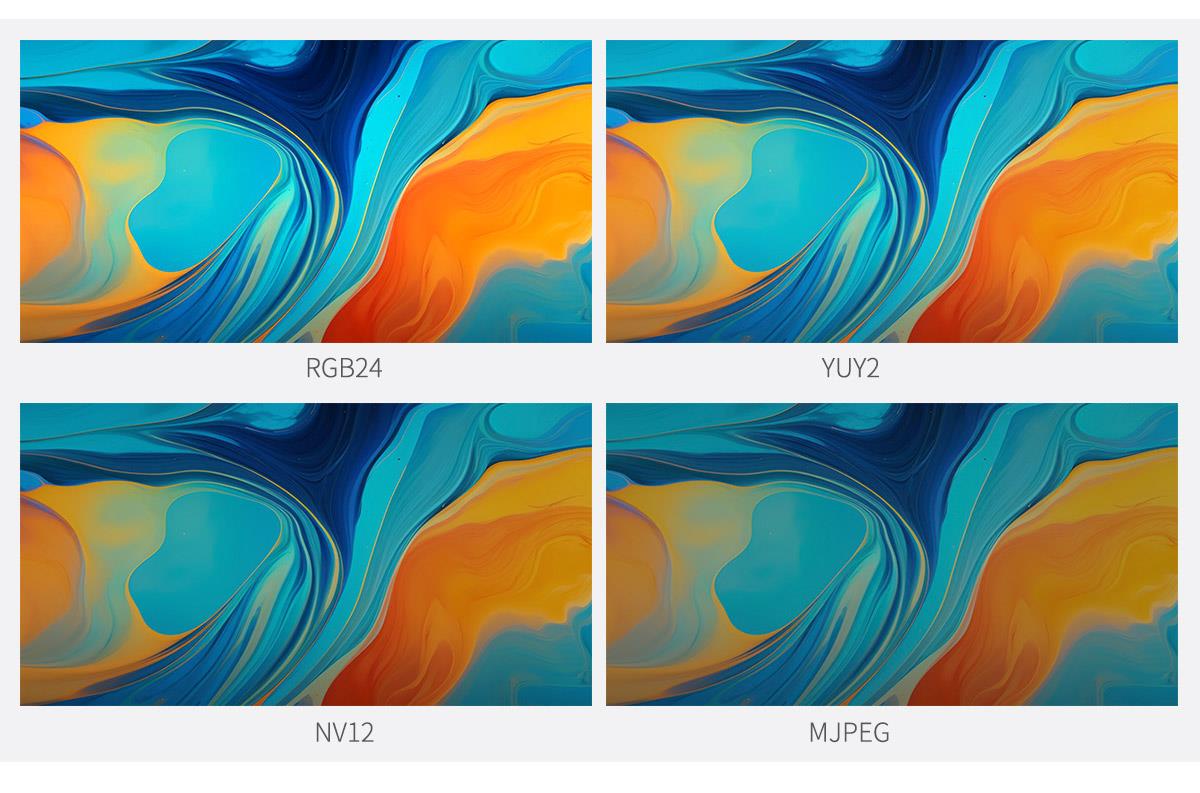 snimanje u više formata