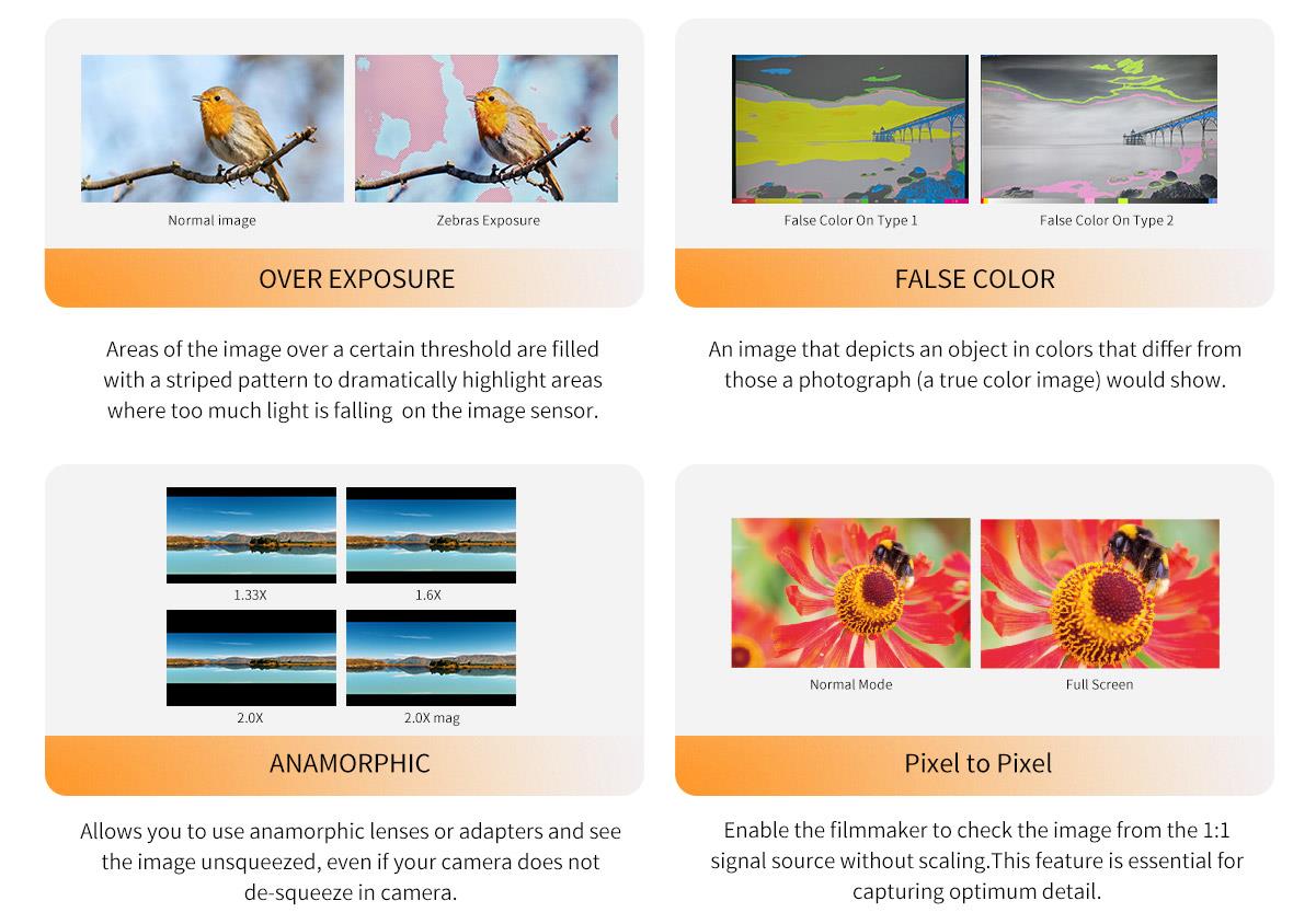 provjeri monitor polja