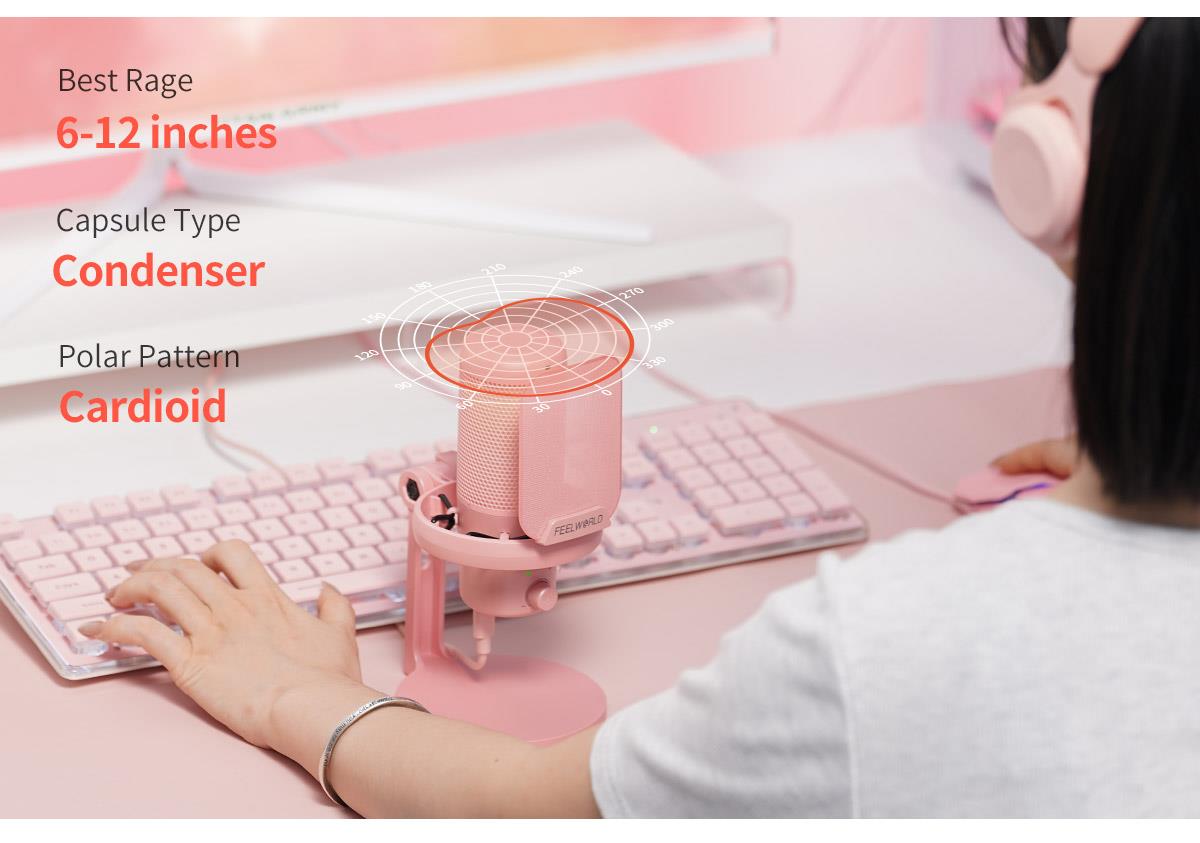 kardioidni Paulse mikrofon