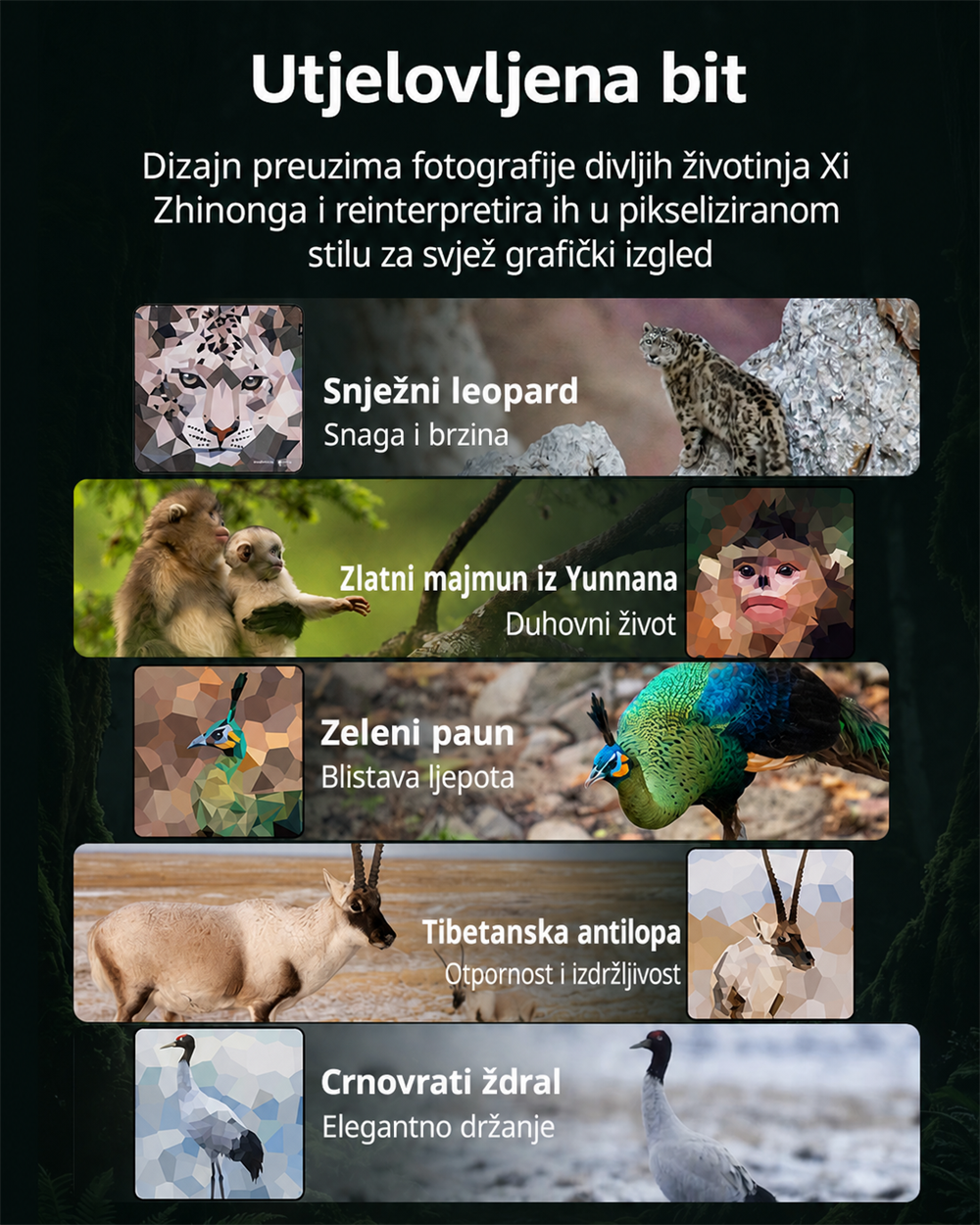 SmallRig 5925 infographic 02