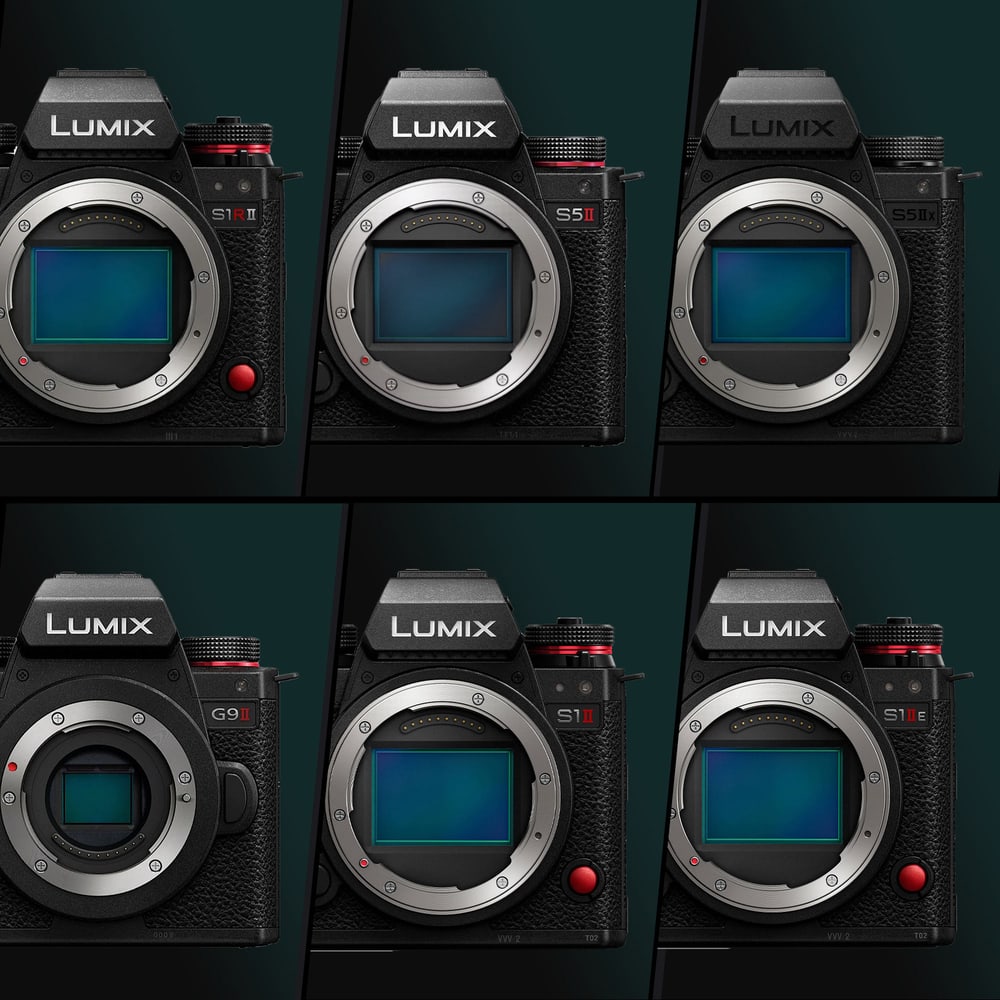 Šest tijela Lumix, jedan kavez